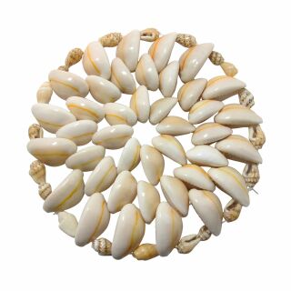 Coasters round made of shells - beige - diameter 10 cm