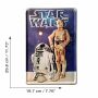 Geprägtes Blechschild 20x30 cm - Star Wars - C3PO & R2D2 - Nostalgie Blech Schild