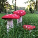 Toadstool - Mushroom - felt - red - 3 sizes