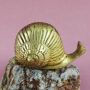 Snail in brass - figure - deco - animal