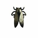 Anillo - Cucaracha